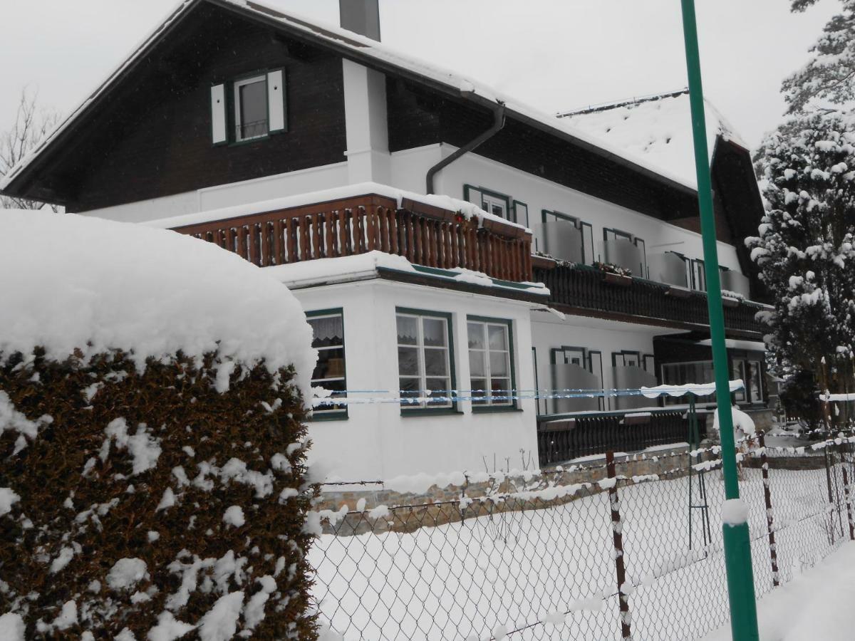 Pension Gierlinger Aflenz Kurort エクステリア 写真